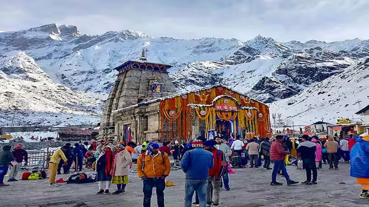 Men force horse to smoke weed, kedarnath temple, viral video, disgusting, kedarnath yatra video, animal abuse, inhuman video, uttarakhand, kedarnath, kedarnath Trek, inhuman, inhumanity, Horse forced to smoke weed on the way to kedarnath, Horse forced to smoke weed, Horse forced to smoke video, smoke , Horse smoke video, horse smoke video viral, horse viral video, viral video of horse smoke, trending news, trending video, viral news