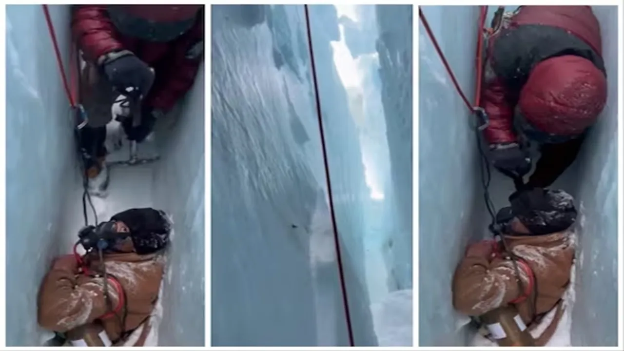 Sherpa, deep crevasse, Mount Everest summit, narrow crevasse, video, Viral Video, man fell in ditch, man fallen in ditch, Man rescued, sherpa, Mt Everest, Rescue Video, viral, adorable video, dangerous video