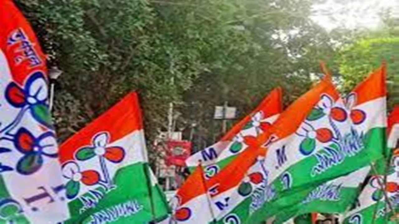tmc is accused to beaten police at basanti