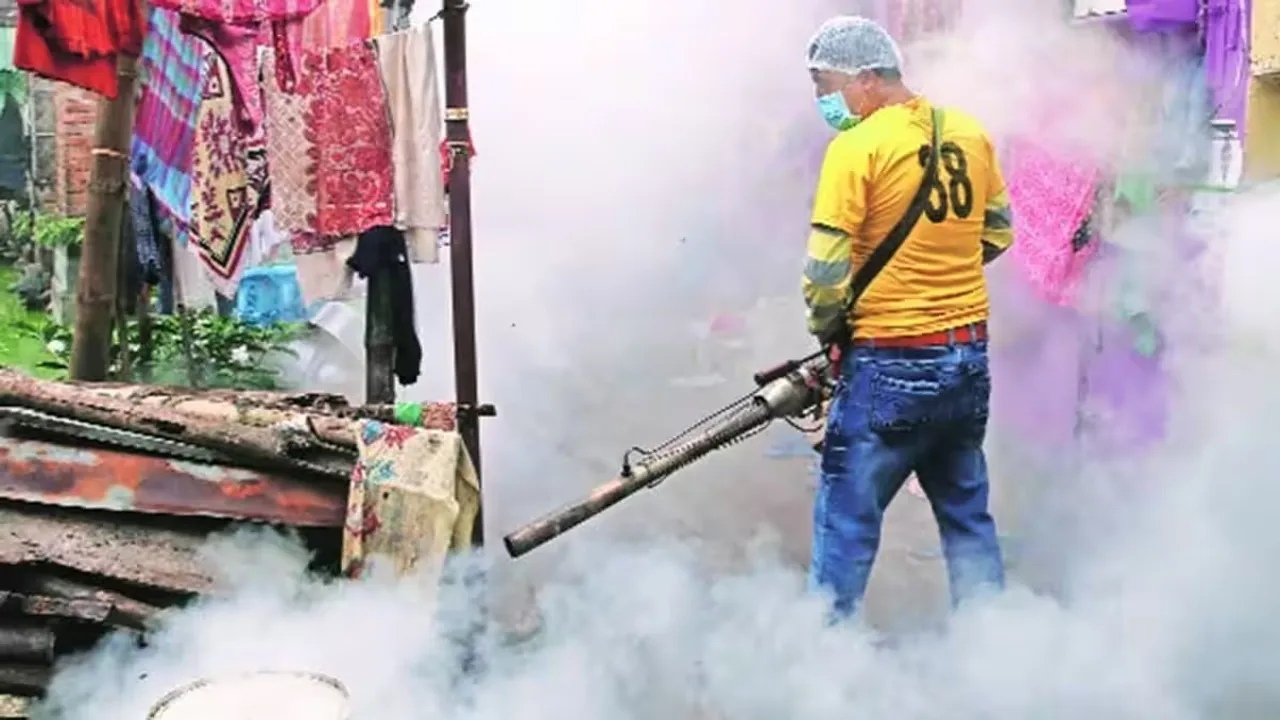 Dengue, Bidhannagar Municipal Corporation (BMC)