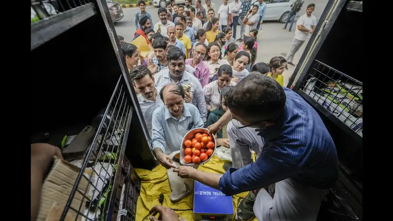 Delhi NCR,Tomato,Tomato Prices,Tomato Rate,Delhi-NCR,Cheap Tomatoes