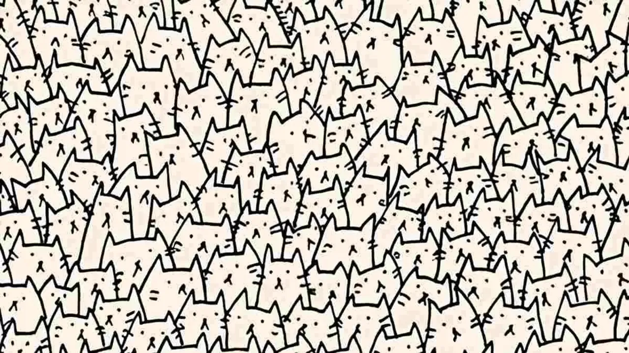Find the Hidden Dog, find the hidden dog among the cats, can you spot the hidden dog among cats