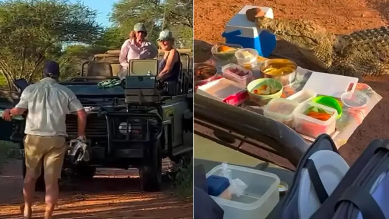 ice box,Crocodile invades a picnic,shocking video,crocodile comes at picnic,crocodile out of water,wildlife viral video,picnic in the forest,crocodile video,animal videos,trending video,viral video