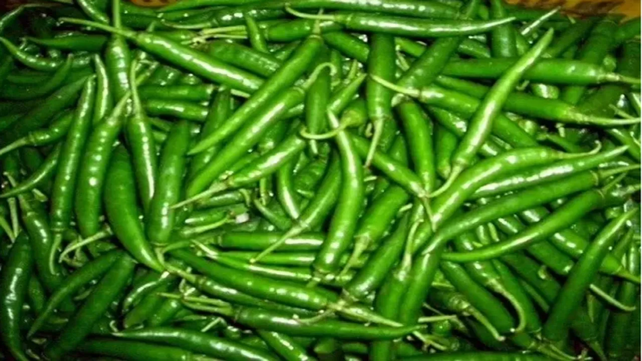 indian government is sending chillies to bangladesh