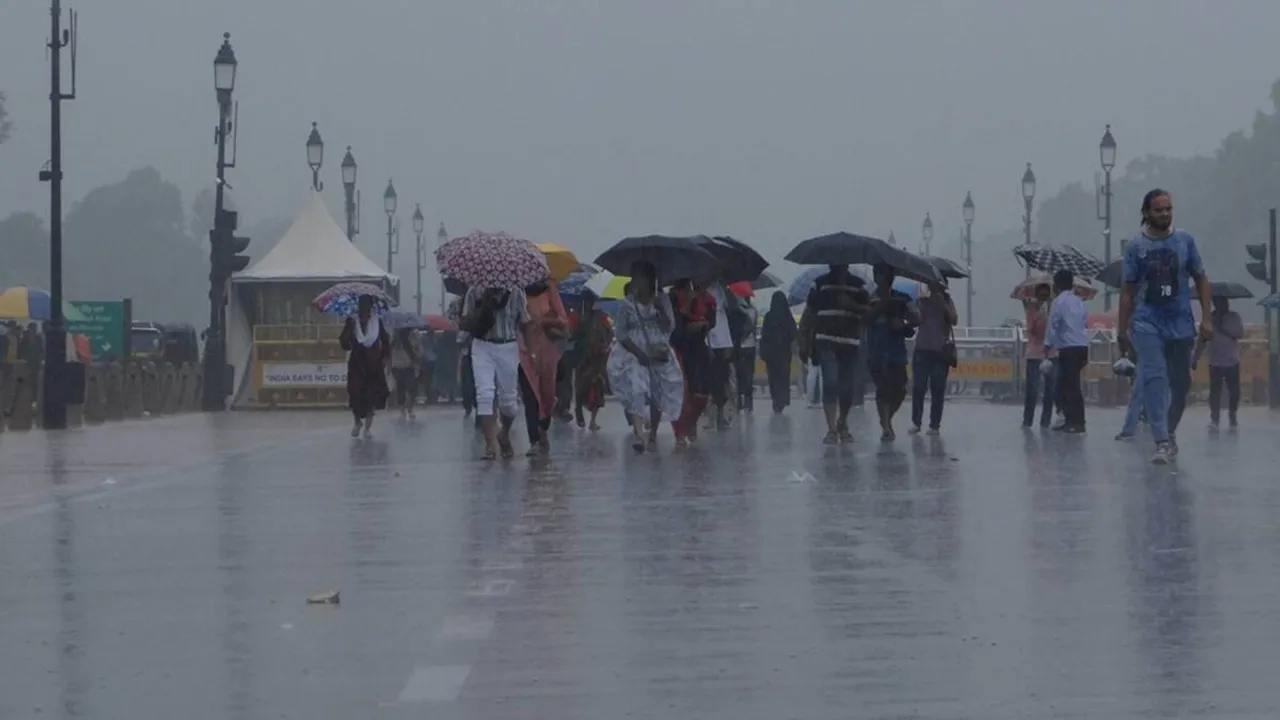school holiday due to rain tomorrow,school closed due to rain tomorrow,holiday in punjab due to rain,schools in delhi closed due to rain,school closed due to rain,today rain,rain weather,rain delhi,tomorrow rain,rain news,rain weather today,the rain,rain in delhi,heavy rain
