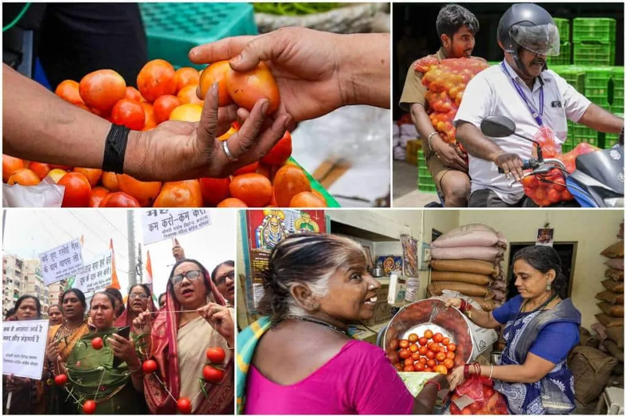 tomato, price