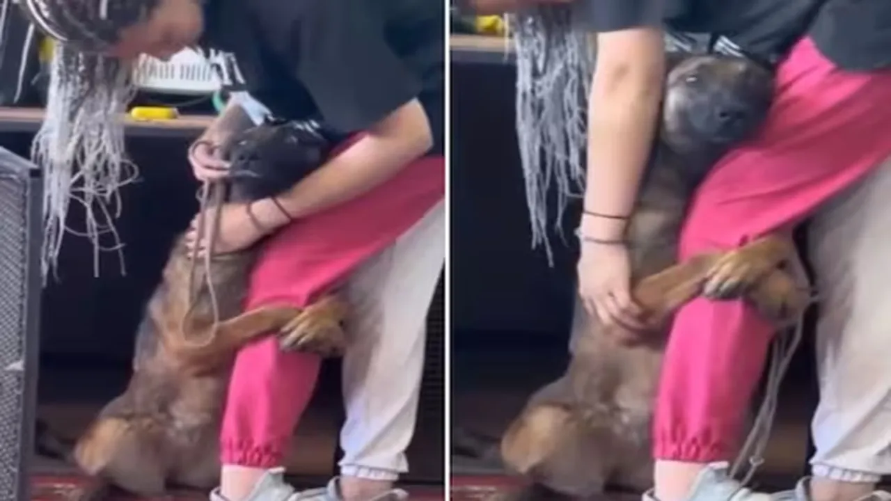 dog emotional video, woman adopt dog video, woman hugging dog viral video, dog hugging woman video, dog hug woman feet video, dog showing emotions video, weird news, latest news, trending news, ajabgajab, shocking news, latest news