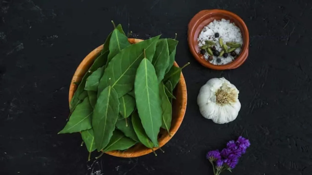 how to store kadi patta or curry leaves for 5-6 months