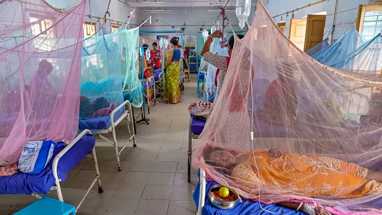 a section of doctors are angry about the government's role in dealing with dengue