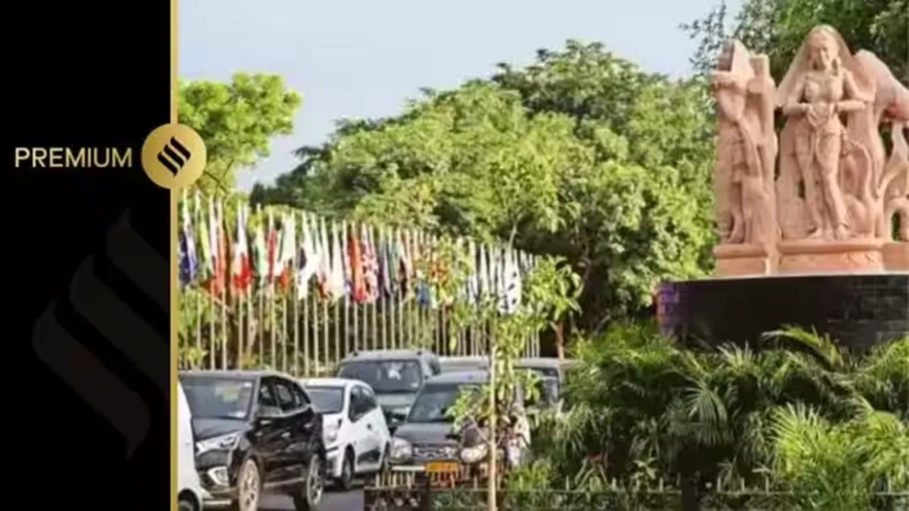 G20