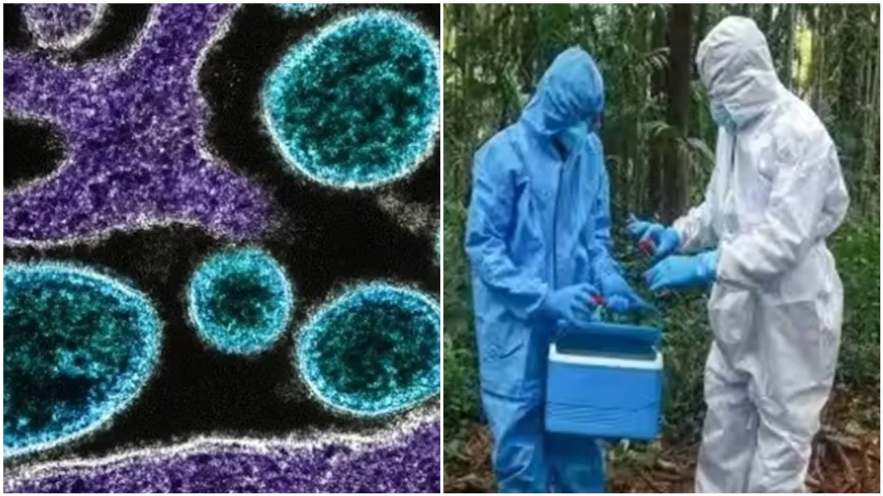"Kerala Nipah deaths: 7 villages in containment zone, schools closed"