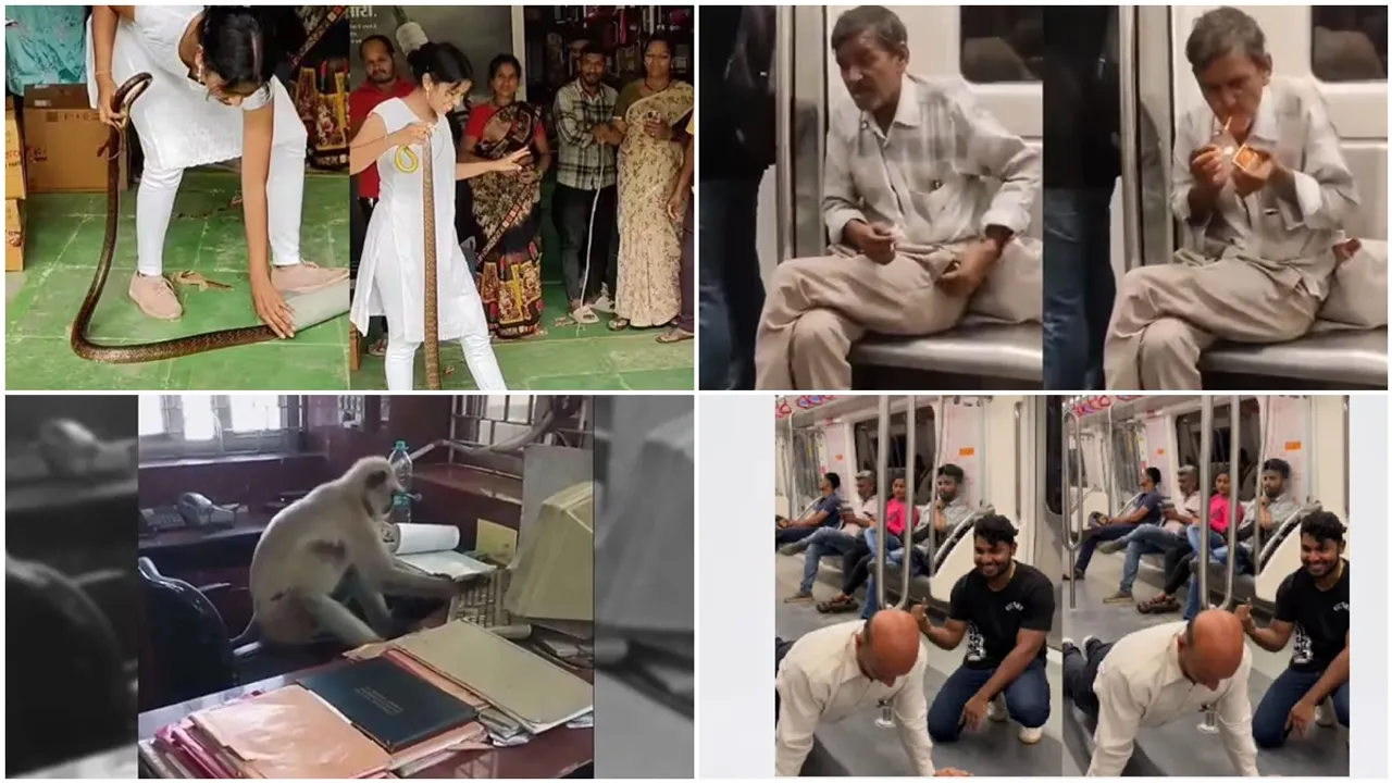 Social Media,trending,VIral Video,snake catche