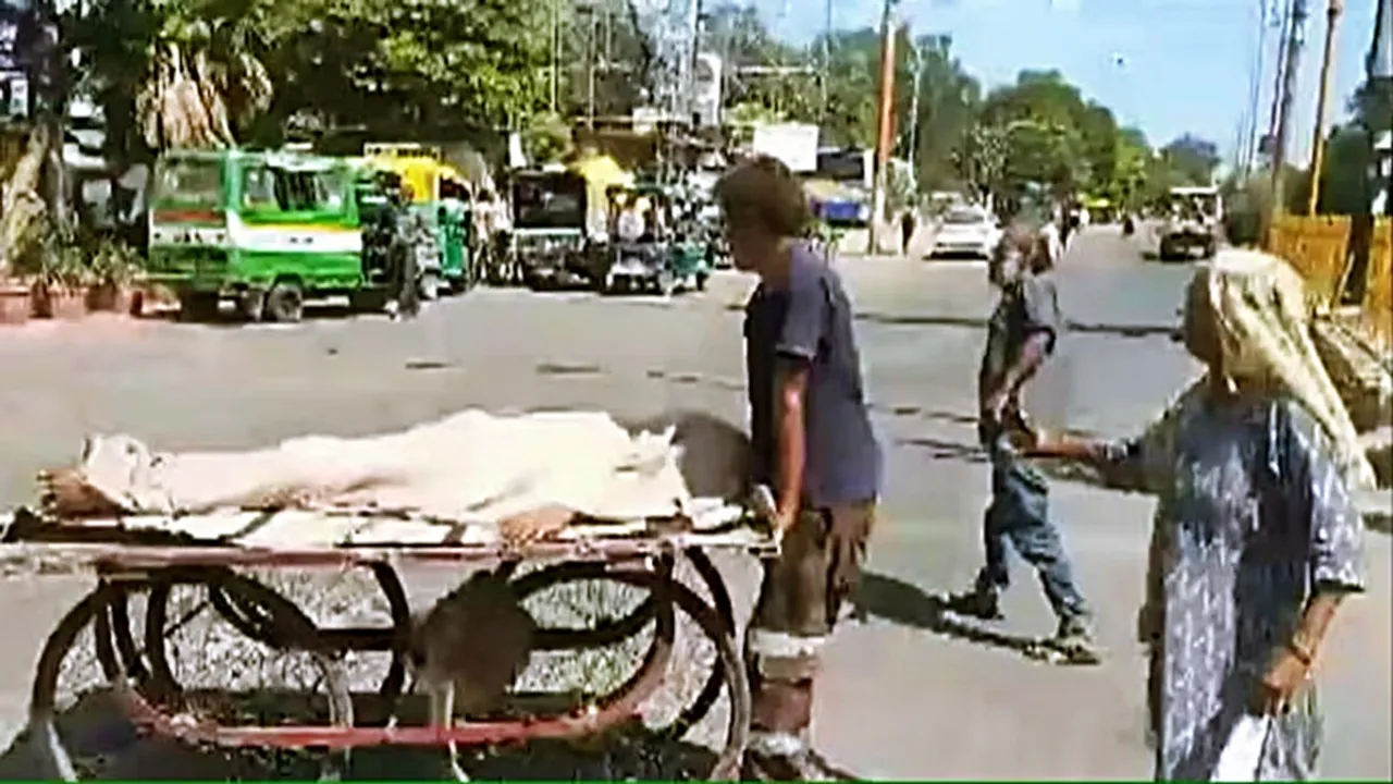 Meerut, Meerut News, Meerut updates, Meerut latest news, Meerut Woman carries dead on cart, Meerut Woman carries dead on cart news, Meerut Woman carries dead on cart latest news, Meerut Woman carries dead on cart