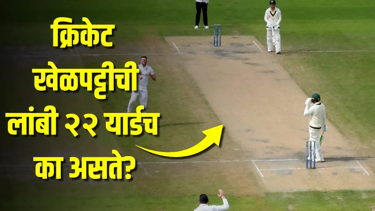 Cricket pitch only 22 yards