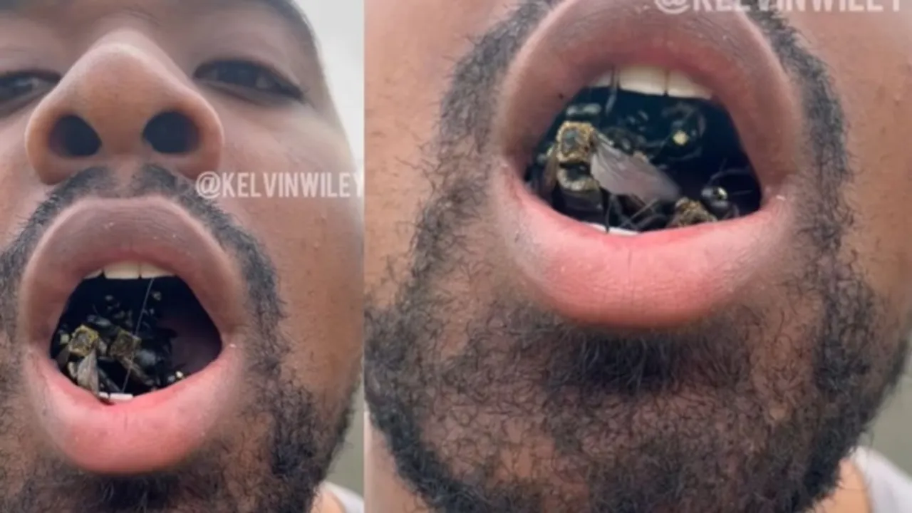Viral news, Viral video, Viral video today, Viral video bees, Bees kept in mouth, Trending video