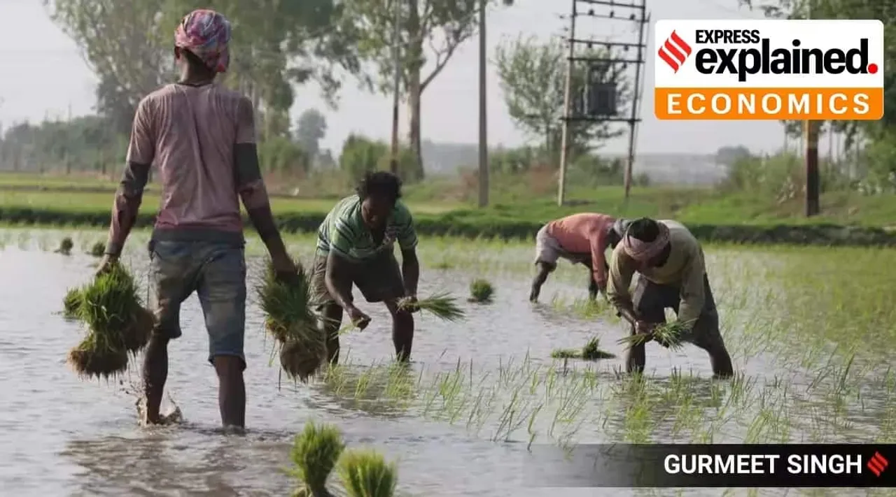 Why farm votes will count in the coming State polls