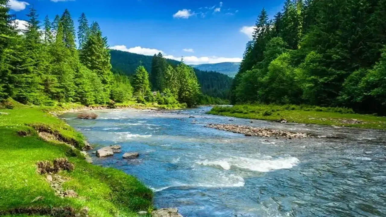 Darjeeling rangaroon village may be a perfect tourist destination