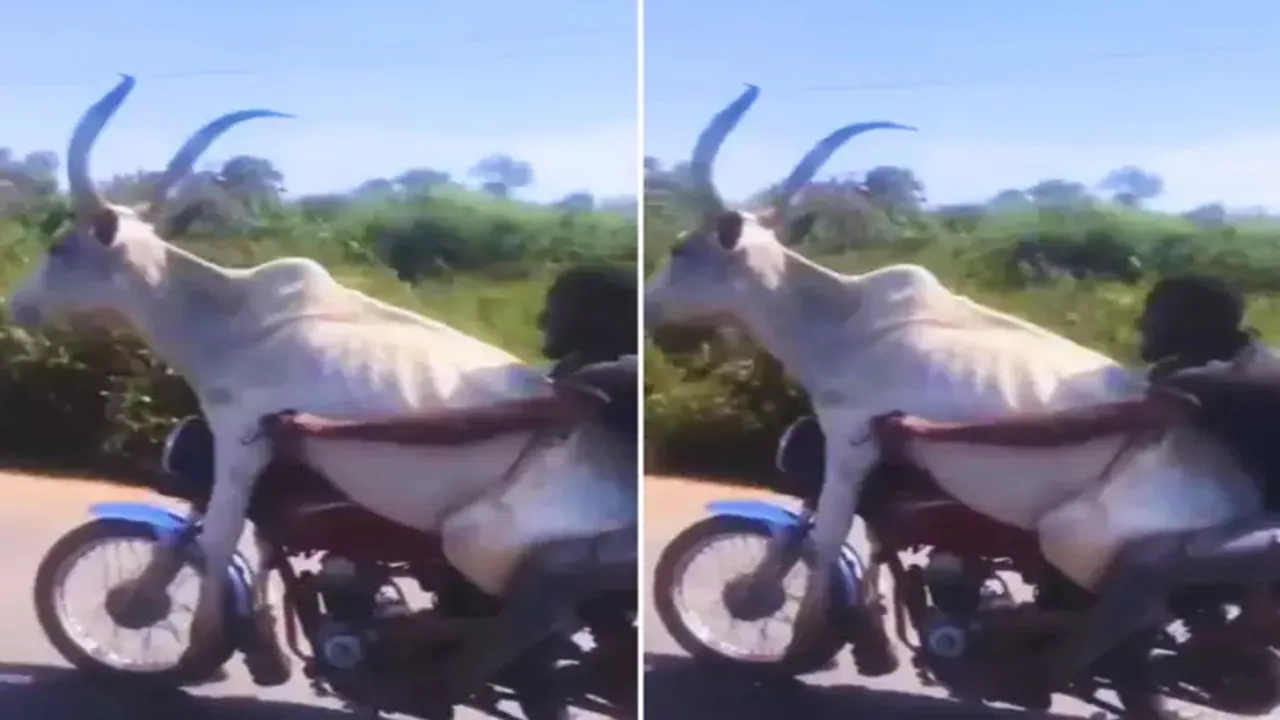 viral