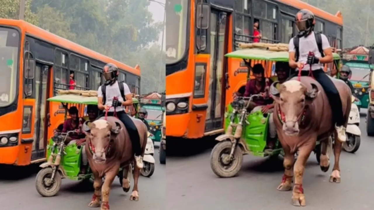 Viral Delhi Video,Viral Video Today,Viral News,Viral Video,Buffalo Viral Video Today,Buffalo Viral Video,Delhi Buffalo Traffic Video,