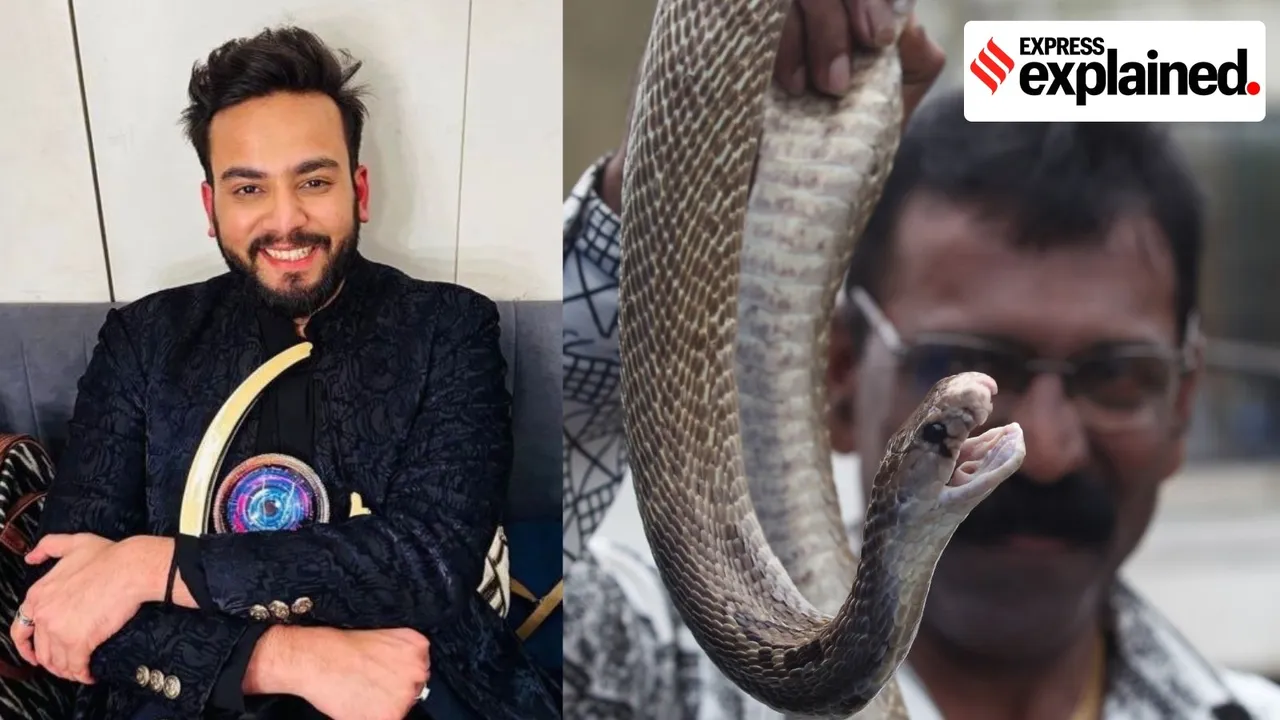 snake venom