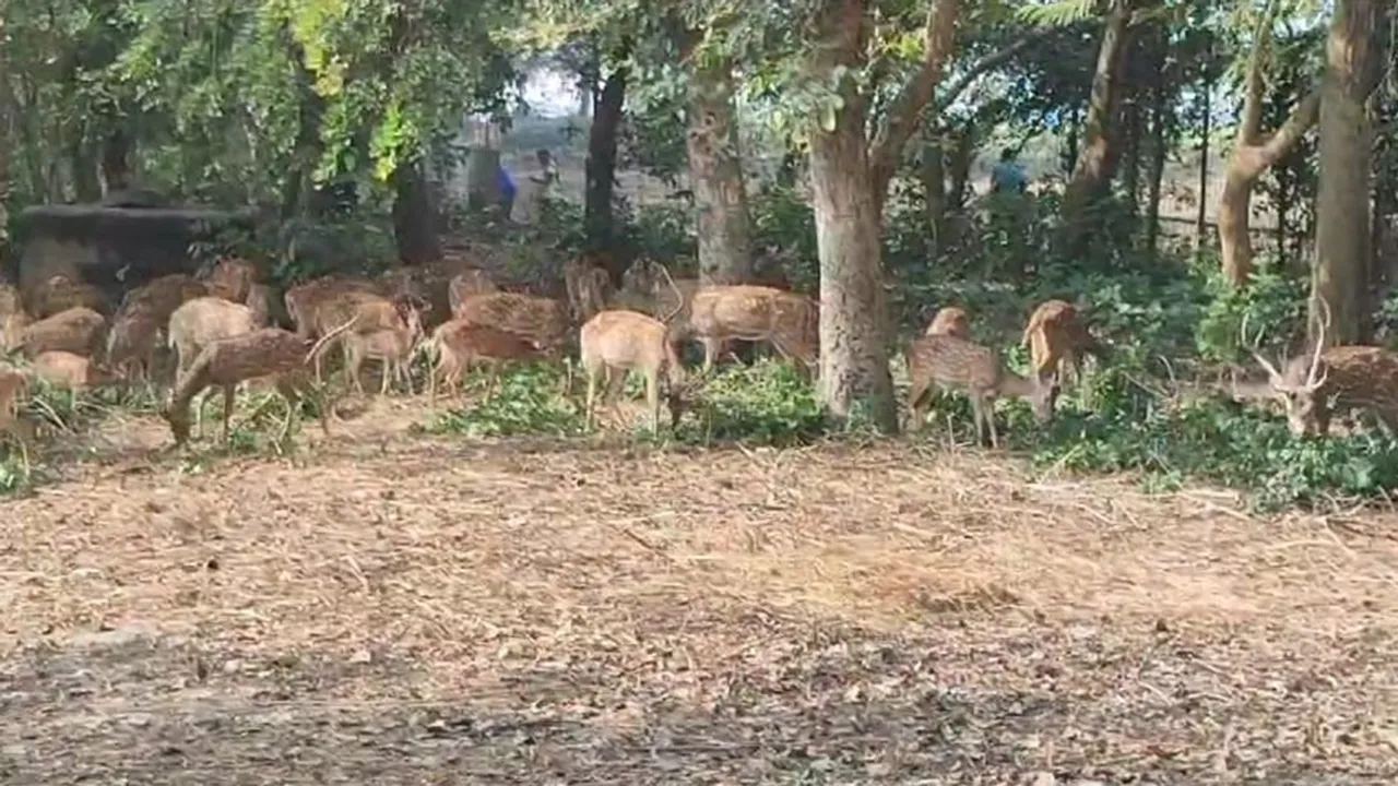 forest department has installed CCTV cameras in Adina Deer Park in Malda