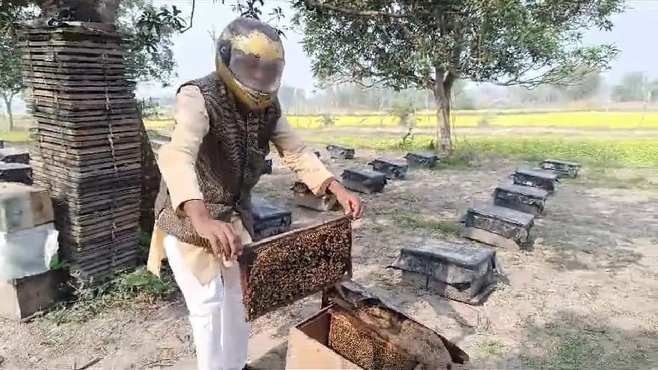 Malda honey farmers fear financial loss in honey cultivation