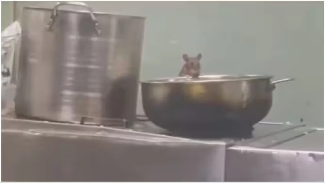 Rats Inside Train Pantry Video,11099 Mumbai Lokmanya Tilak Terminus-Madgaon Express,Madgaon Express,Mumbai- Lokmanya Tilak Terminus,Rats Inside Train Pantry,viral video"