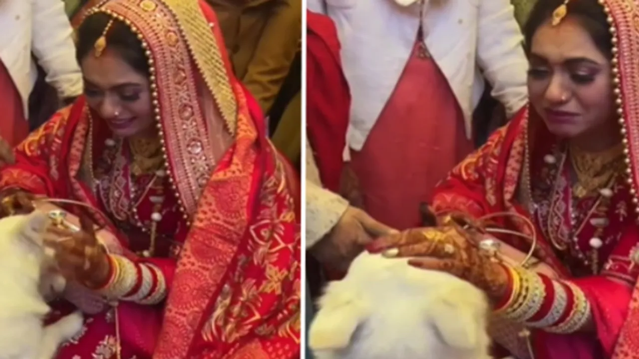 bride, VIral Video, trending Video, bride viral video, bride emotional video, bride hugs her dog, bride with her dog video, dulhan ka emotional video, instagram viral reel,