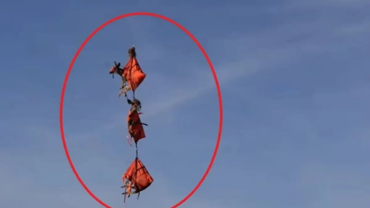 viral,viral video,viral news,trending news,trending video,google trends,News Hindi News,flying deer video,trending video on youtube,viral video on social media,ajab gajab video,Bizarre News