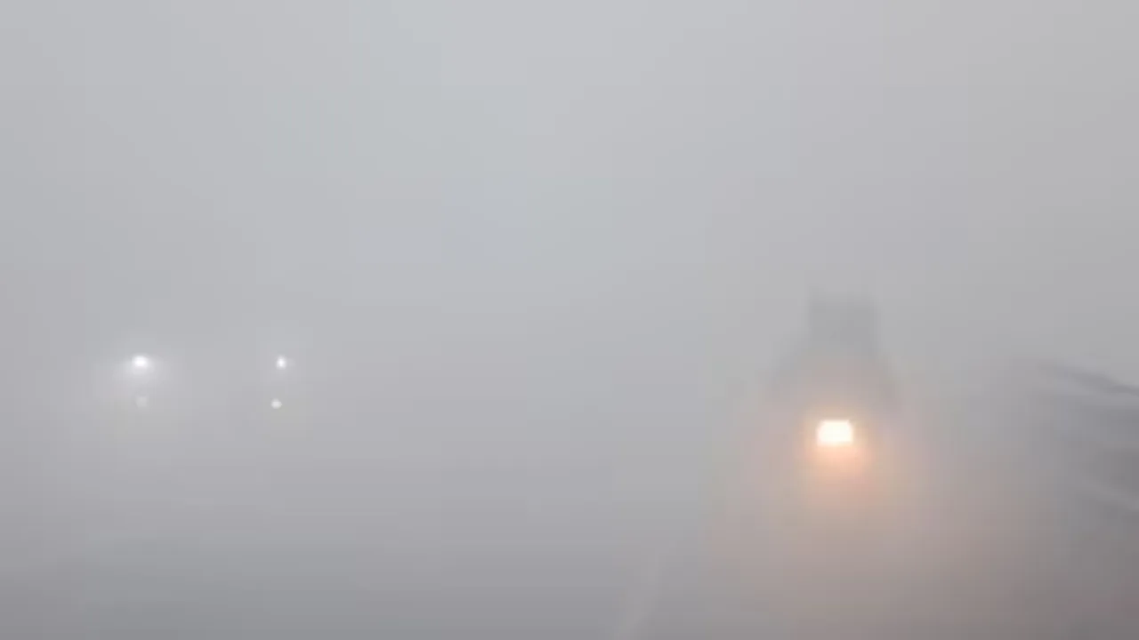delhi fog, Delhi dense fog, Delhi weather updates, imd weather updates, Delhi ncr weather, low visibility, imd fog alert