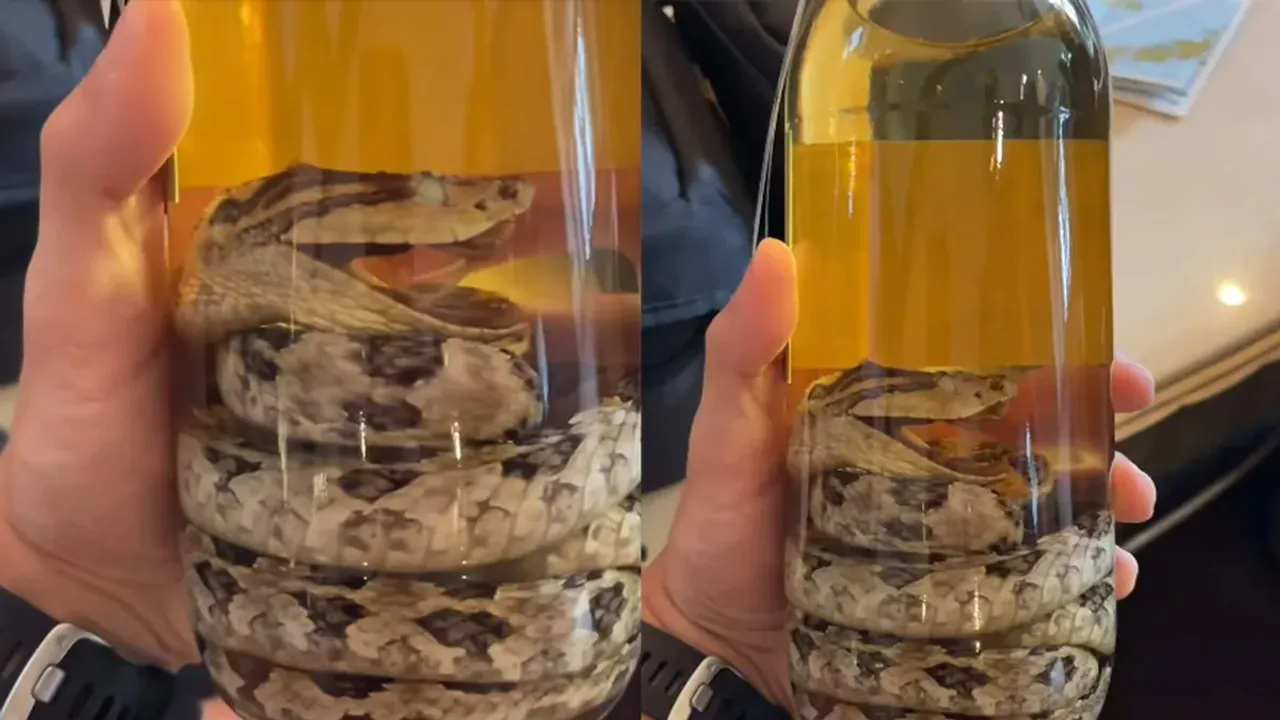 venomous snake, Snake Whiskey, real snake inside whiskey bottle, Habushu, Japan Snake Whiskey, Japan, viral news, trending news, bizarre news, world news, japan news" /> (function(i,s,o,g,r,a,m){i['GoogleAnalyticsObject']=r;i[r]=i[r]||function(){(i[r].q=i[r].q||[]).push(arguments)},i[r].l=1*new Date();a=s.createElement(o),m=s.getElementsByTagName(o)[0];a.async=1;a.src=g;m.parentNode.insertBefore(a,m)})(window,document,'script','https://www.google-analytics.com/analytics.js','ga');