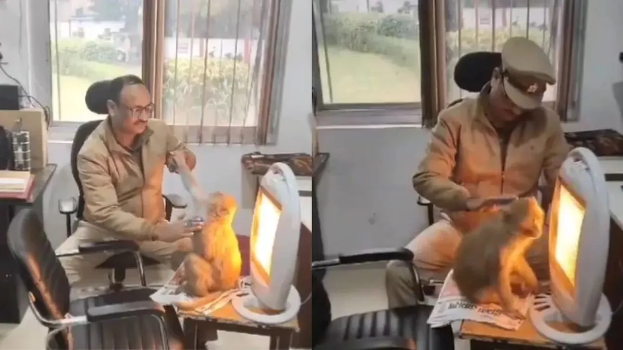 Bandar ka video, viral video, viral news, Monkey video, Monkey viral video, Monkey in Police Commissonerate office, Police Commissonerate office, kanpur nagar, monkey sat in front of heater to protect himself from winter,
