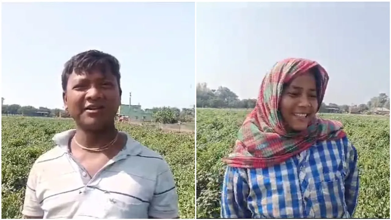 Simla Mirch farming makes profit at puratan malda area