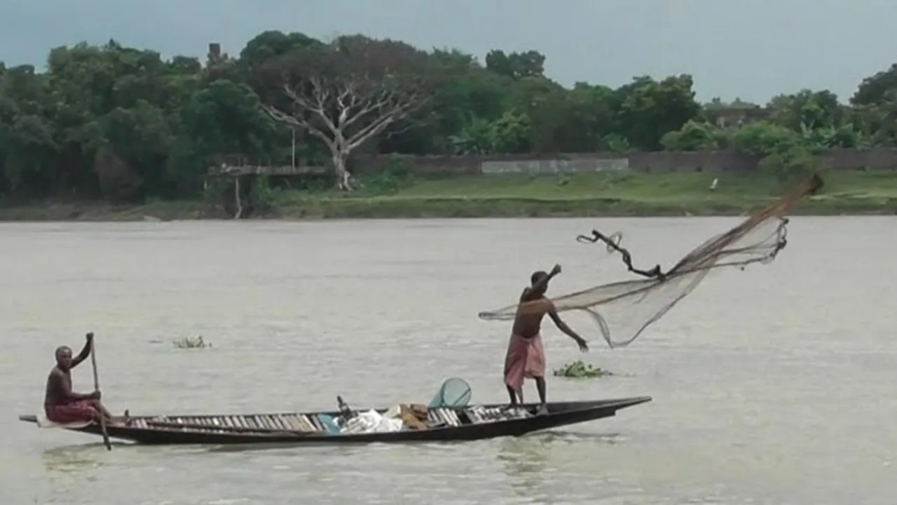 Fishermen Caught Shankar Fish from Muri Ganga River