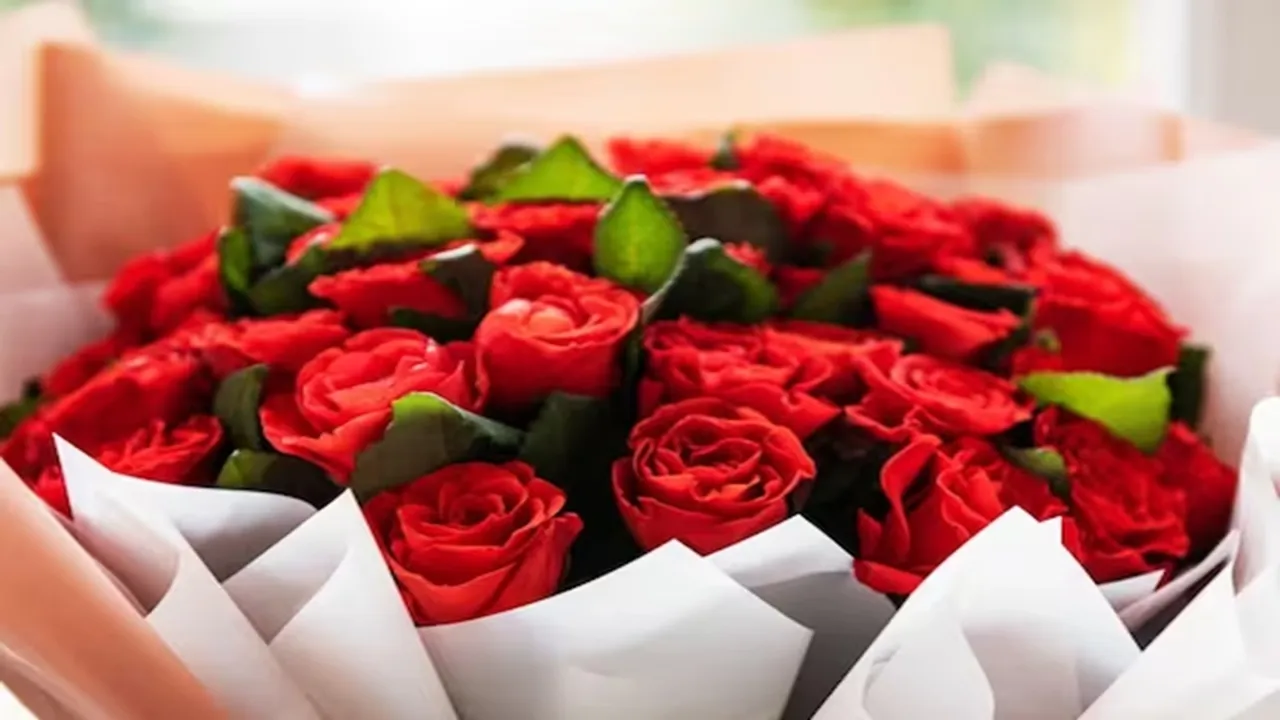 Rose Day 2024, Valentine's Day Week 2024, Valentine Day Week List