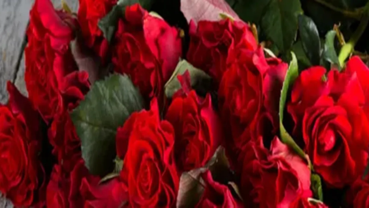 Happy Valentine's Day, Valentine's Day wishes, Happy Valentine Day Quotes