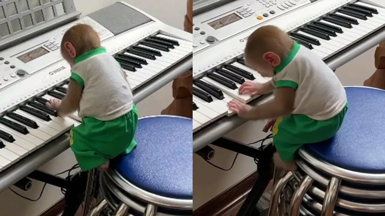 bibi smart moneky, Monkey played piano, smart monkey, viral, viral news, viral video, Instagram, Reels, social media, Monkey video