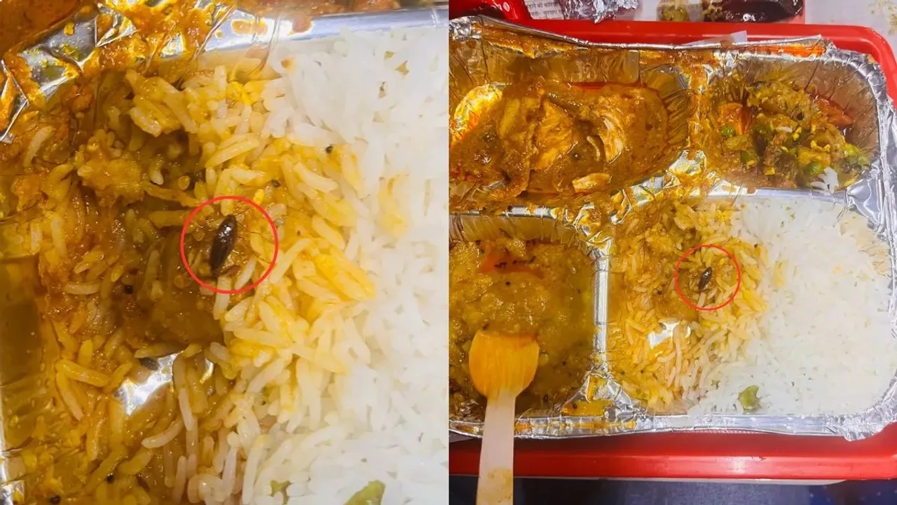 Indian Railway, Railway Food, Cockroach in Railway Food, Viral Post, Viral News, trending on Internet,
