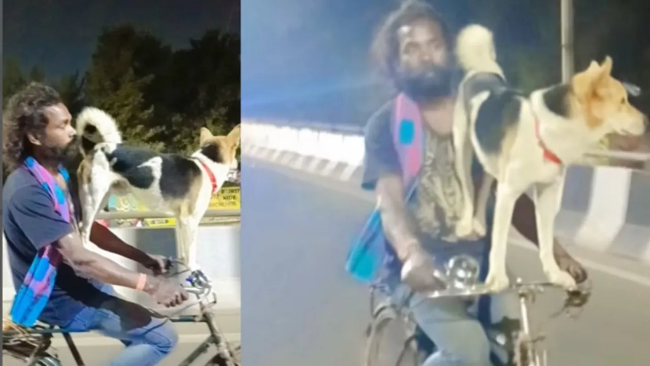 Viral Dog Video, Viral News, Viral Video Today, Viral Video, Dog Viral Video, Dog Video,