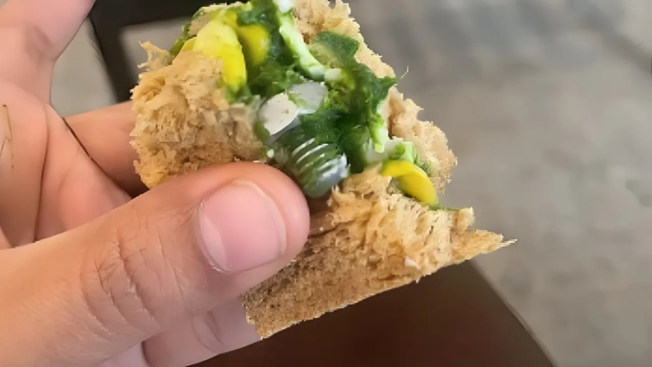 IndiGo passenger finds screw in his sandwich