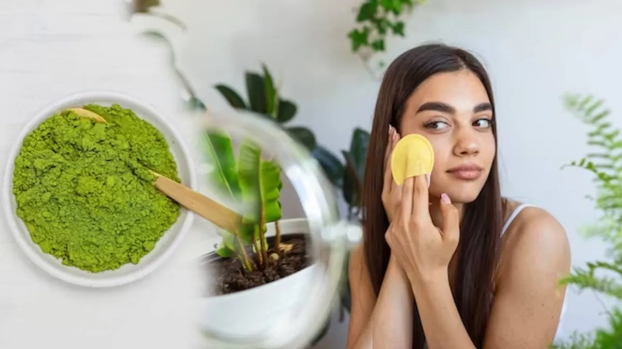 Homemade Tulsi Face Masks To Get Blemish Free And Clear Skin