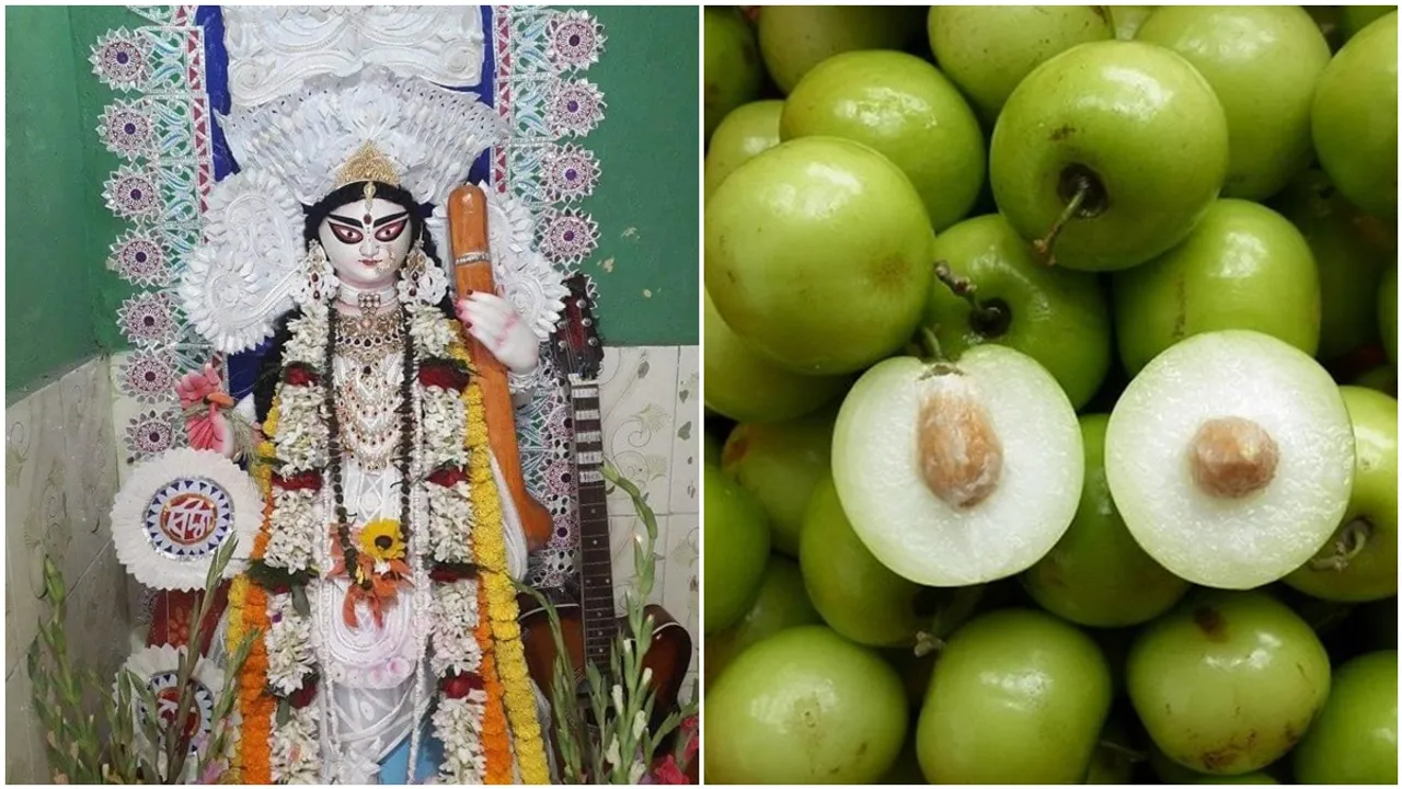 Why not eat kul before saraswati puja , কেন সরস্বতী পুজোর আগে কুল খেতে নেই?
