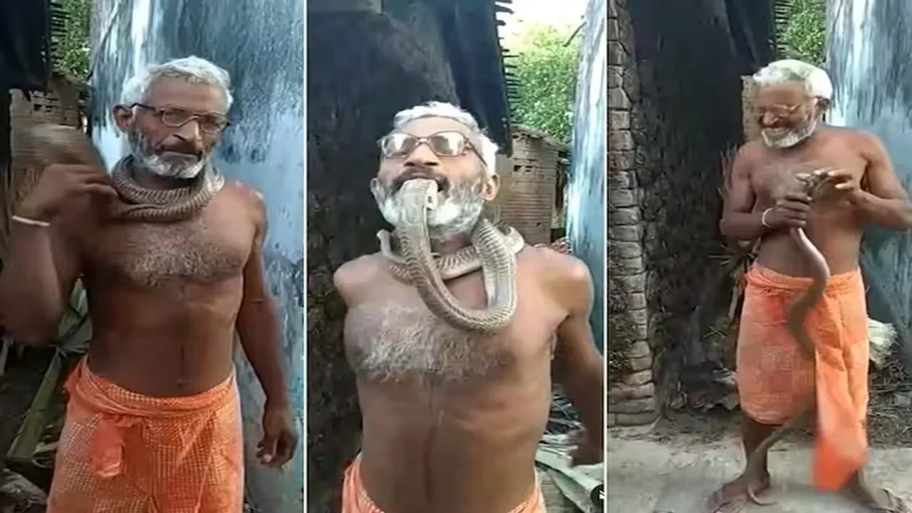 Chachaji Ka Video,King Cobra Ka Video,Sanp Ka Video,Uncle Bites King Cobra,Trending Video,Omg Video,Latest Viral Video,Snake Ka Video"