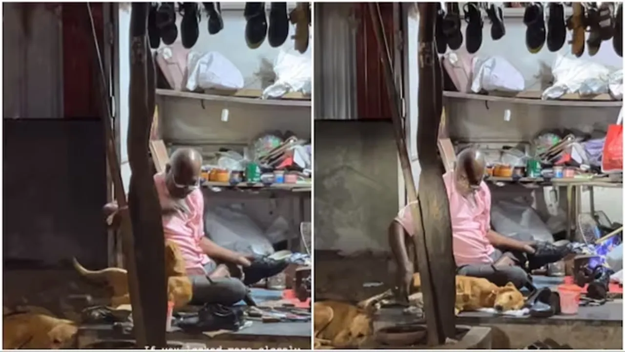 stray dog"," mumbai"," elderly man"," cobbler"," heartwarming"," viral video"," kindness