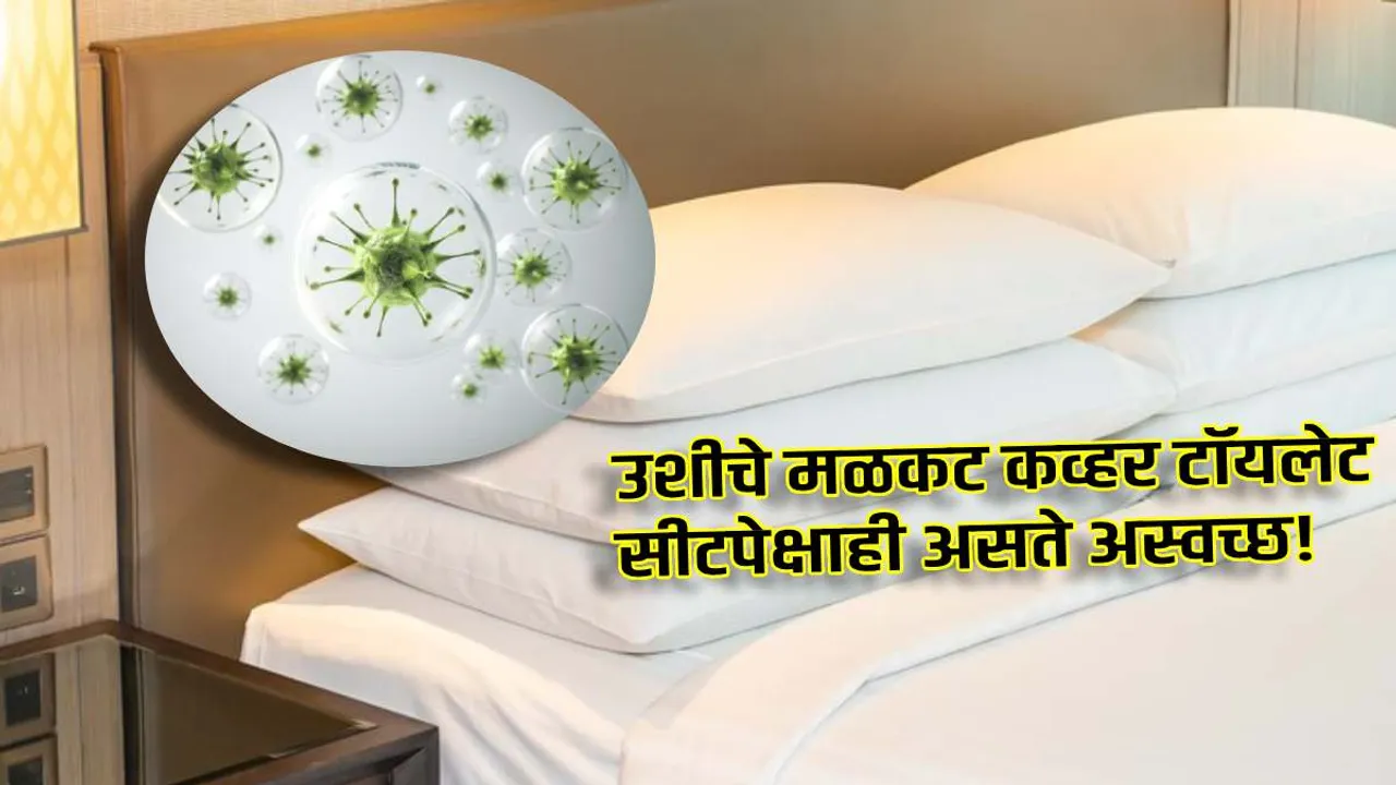 diy healthy lifestyle tips pillow covers are more dirtier than toilet seat know in how many days cover should be changed