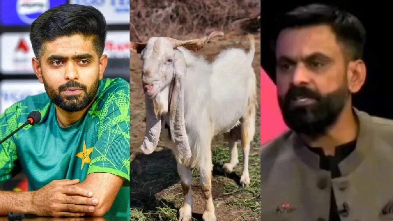 Mohammad Hafeez slams Pakistan Cricket Team