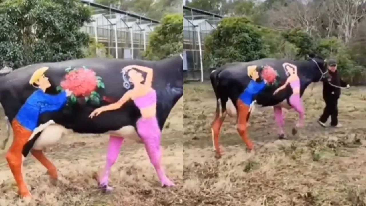 Viral Video, Awesome Creativity, Man shows his art on Cow Body, Man Creativity goes viral, Creative art, viral news, trending video,