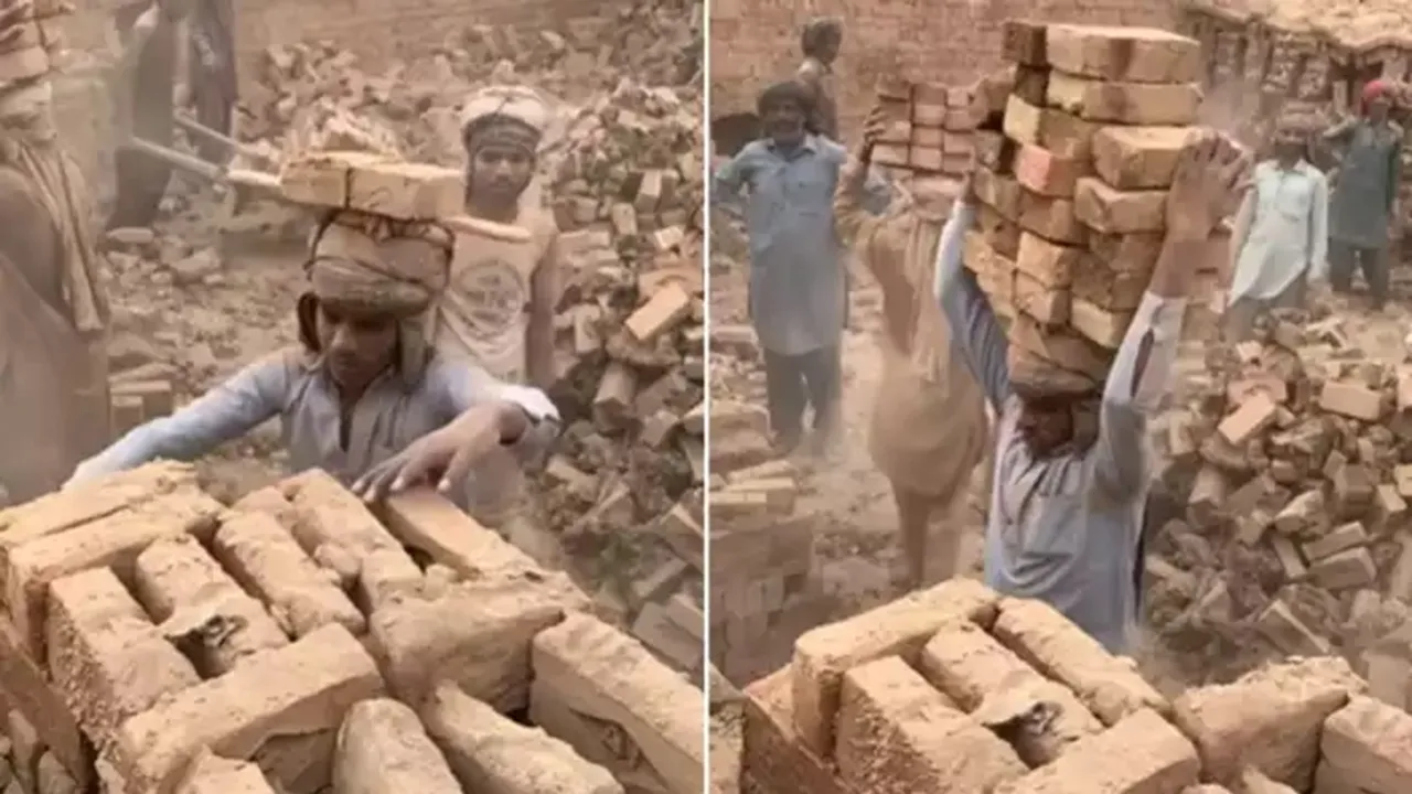 Viral