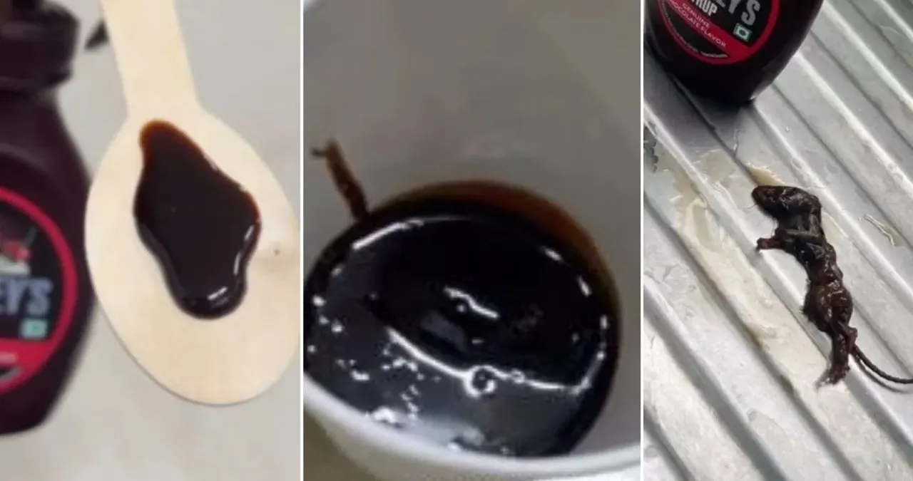 Viral Video Shows Dead Mouse In Hershey's Chocolate Syrup Company Reacts, Dead Mouse In Hershey's Chocolate Syrup, Dead Mouse In Chocolate Syrup, Hershey's Chocolate Syrup, Dead mouse, Hershey's Syrup,