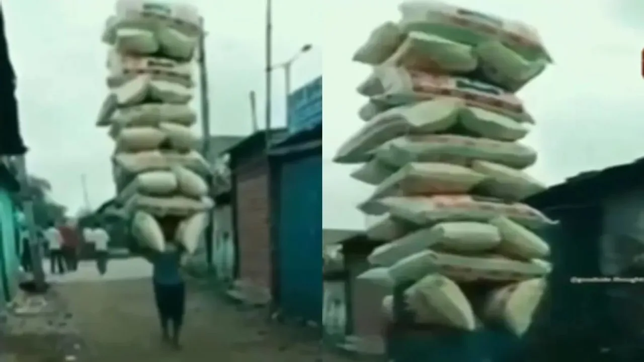 "Viral Video, Viral News, trending News, shocking video, bizarre,